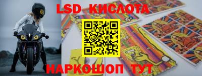 ГАЛЛЮЦИНОГЕННЫЕ ГРИБЫ Свободный