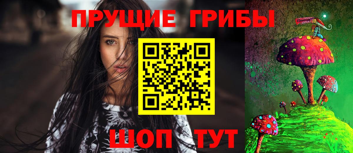 Галлюциногенные грибы Psilocybine cubensis Новошахтинск