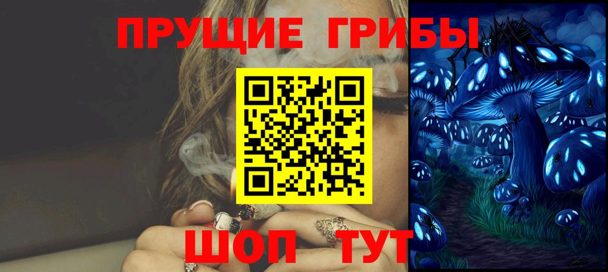 Новошахтинск  Галлюциногенные грибы Psilocybe  Вход с VPN 