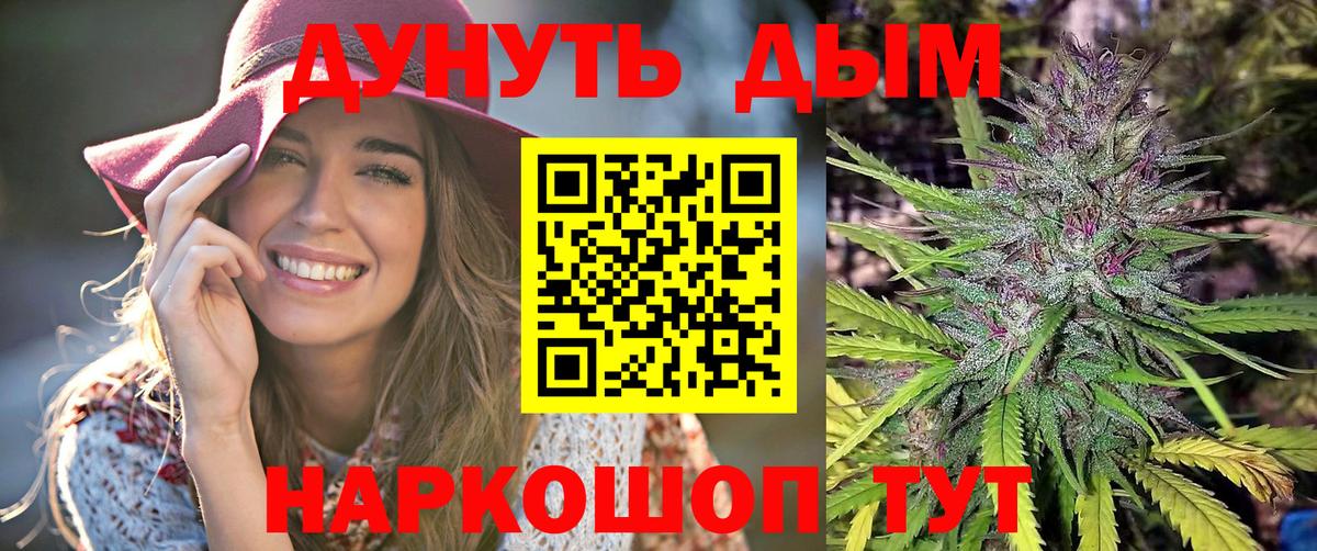 Каннабис сатива Новошахтинск